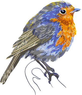 电脑绘画: 小鸟装饰画高清素材