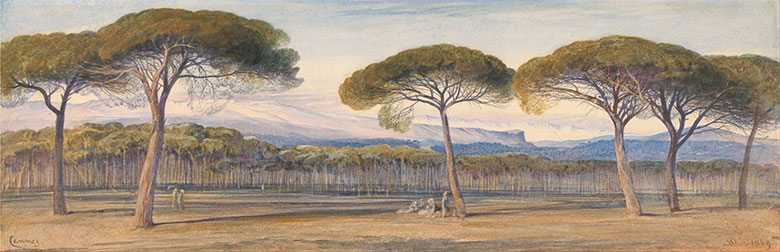 爱德华·李尔: A View of the Pine Woods Above Cannes