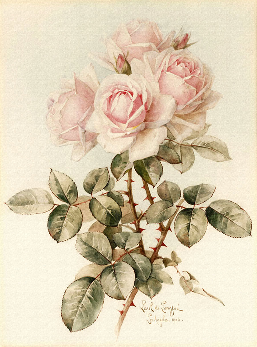高清复古玫瑰装饰画 素材下载