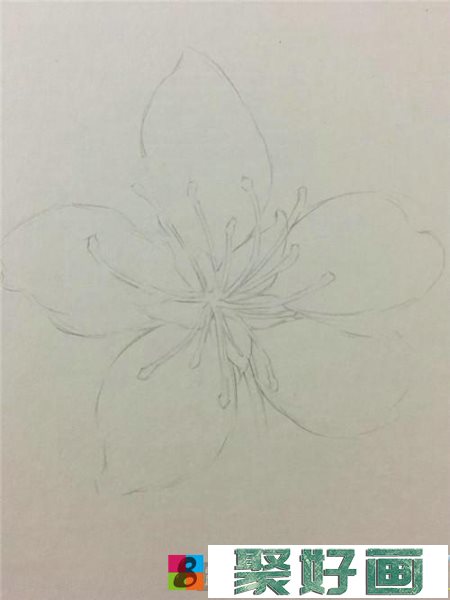 一朵樱花彩铅画