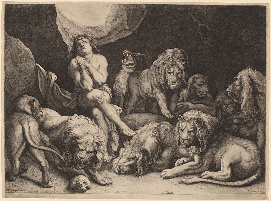 鲁本斯素描作品:  狮子坑中的男子 狮子素描
