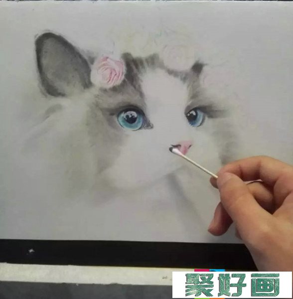 彩铅画萌猫步骤：教你画一只仙女猫