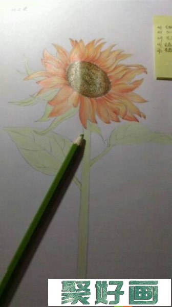 彩铅向日葵怎么画？向日葵彩铅画教程