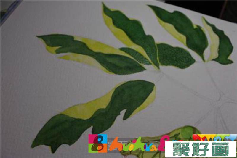 槭树叶水彩画