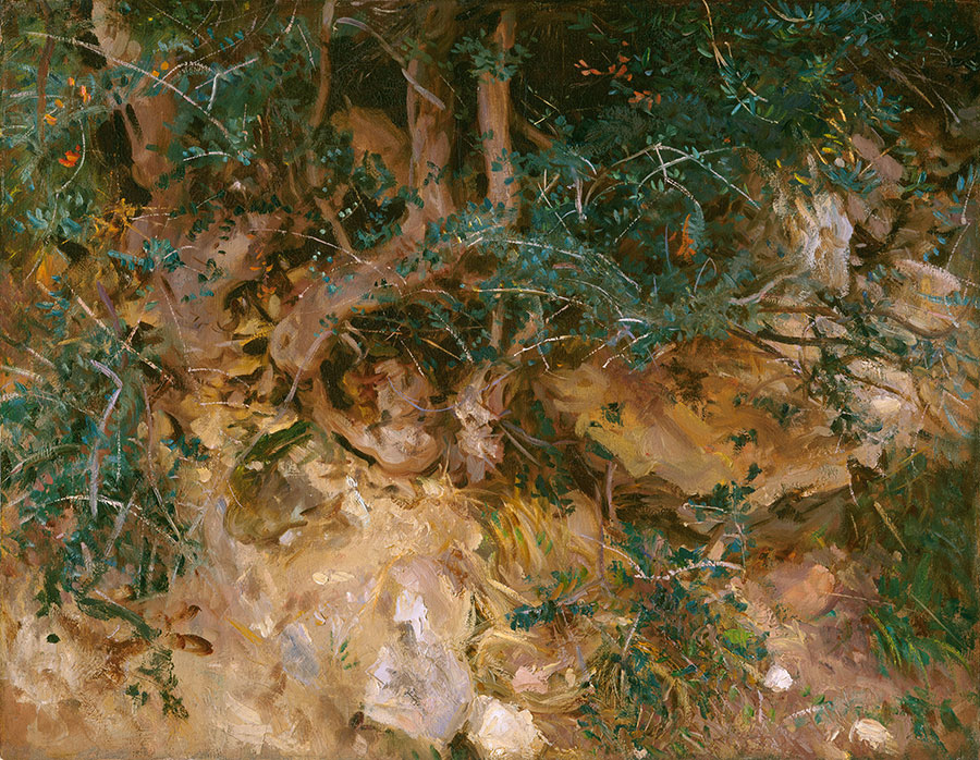 萨金特油画作品: 森林里的野草油画欣赏