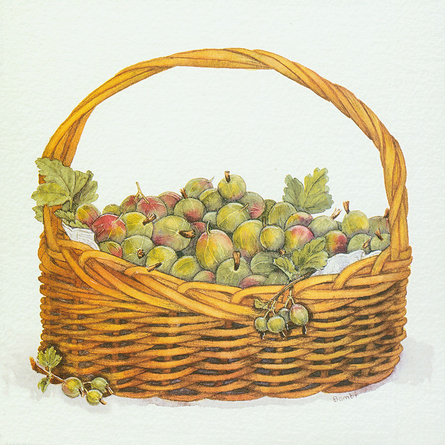 欧式四联水果水彩画: 篮子里的水果 A