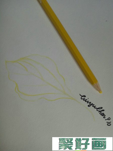 3d立体简单枫叶的彩铅画步骤教程