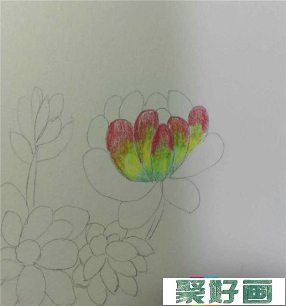 零基础学彩铅画