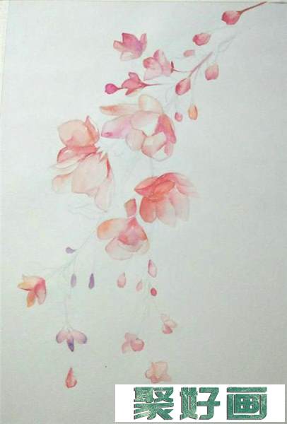 垂丝海棠水彩画