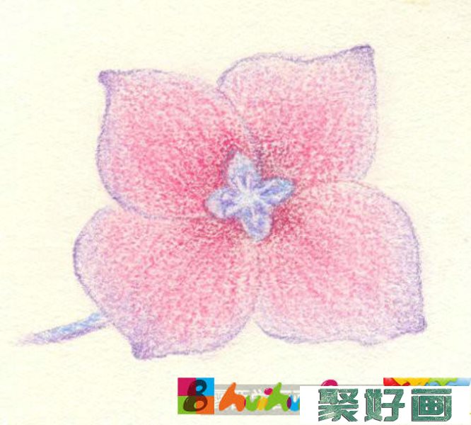 八仙花彩铅画