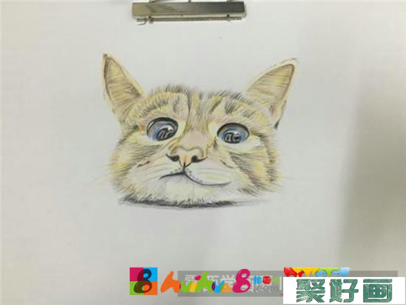 小萌猫彩铅画