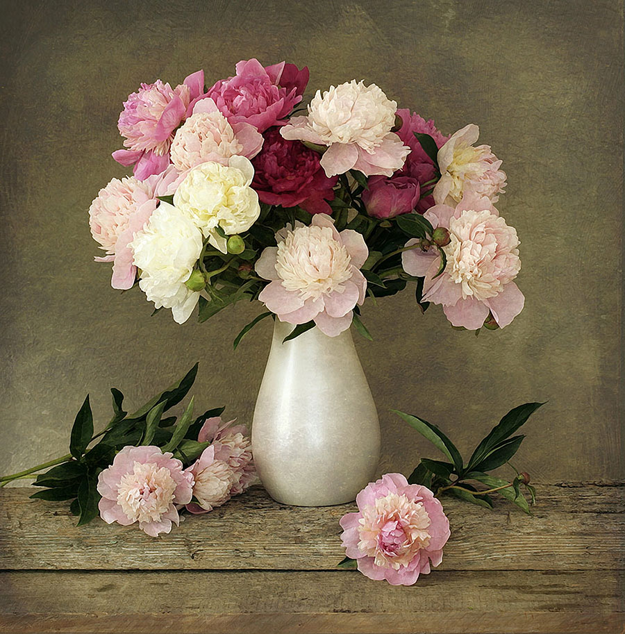 复古风格摄影图:白花瓶和玫瑰花