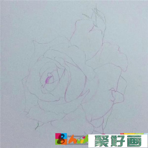 别样的月季花彩铅画