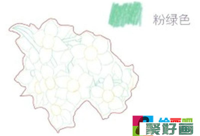 彩铅画水仙花怎么画