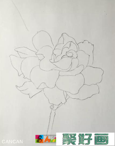 彩铅画栀子花