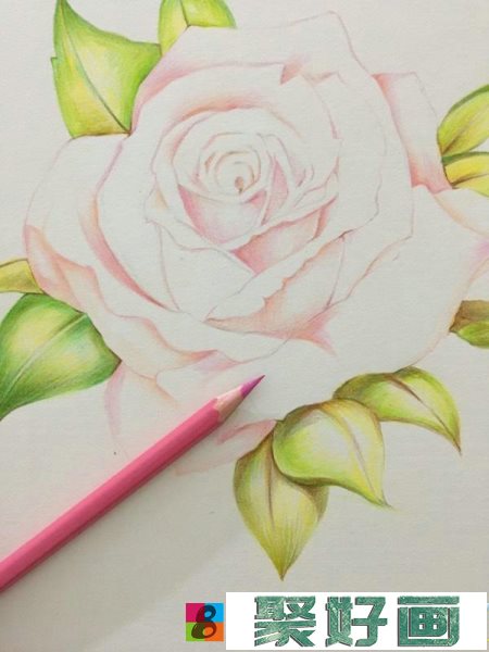 粉玫瑰彩铅画