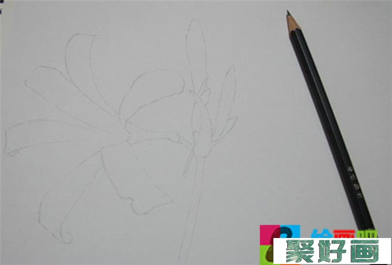 彩铅手绘花朵教程