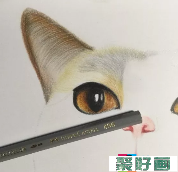 彩铅画猫的步骤图解