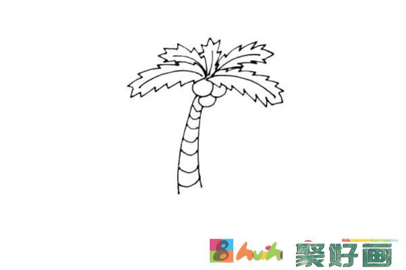 椰子树简笔画步骤图