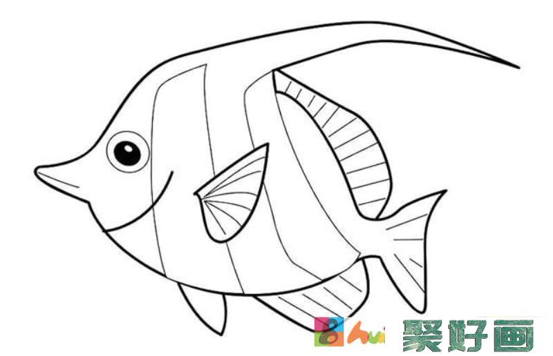 海洋鱼类动物简笔画