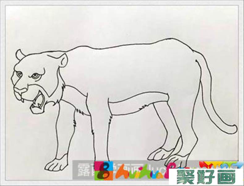 儿童画教程：教你画老虎