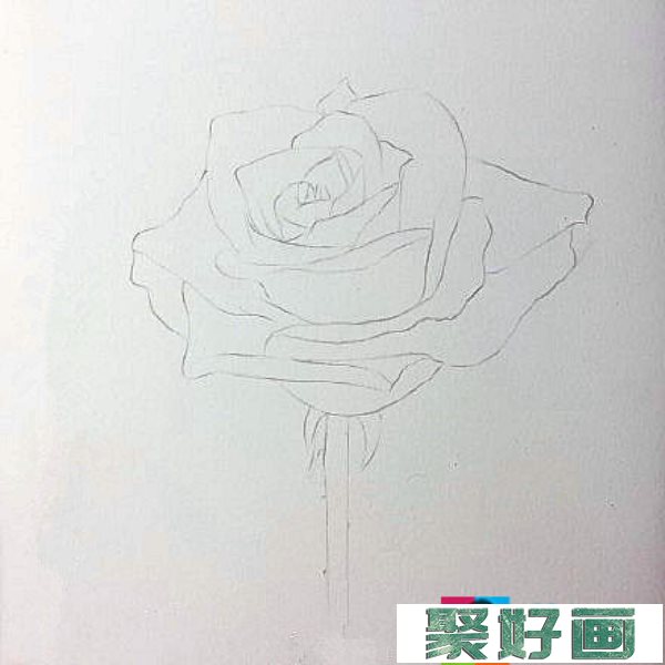 花怎么画?玫瑰花彩铅画教程