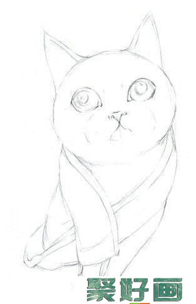 猫怎么画?手绘猫咪彩铅画教程