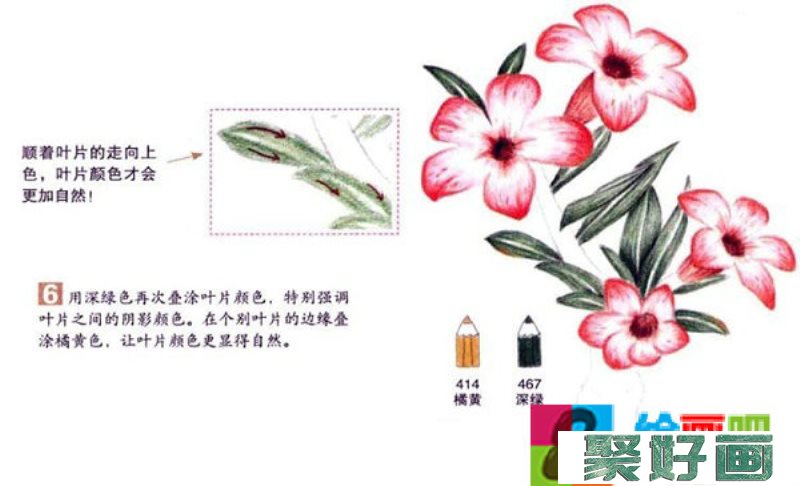 沙漠玫瑰彩铅画怎么画？彩铅画花卉绘画教程