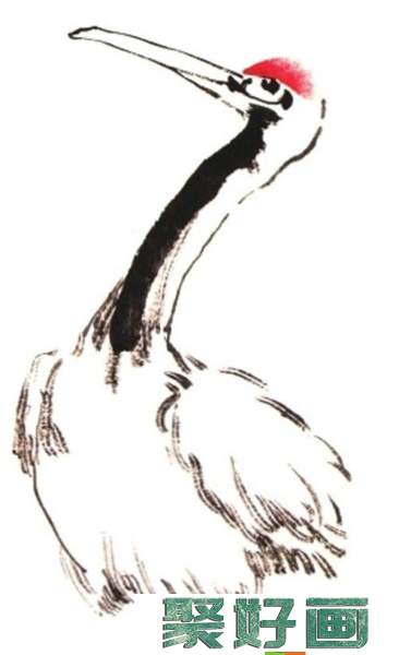 丹顶鹤的画法