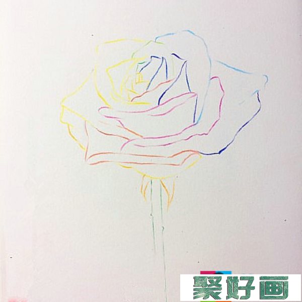 花怎么画?玫瑰花彩铅画教程