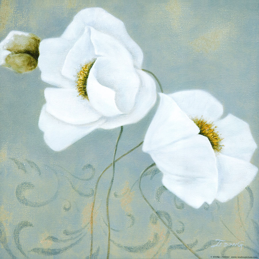 蓝底白花 白色的花手绘画 白花装饰画 高清素材