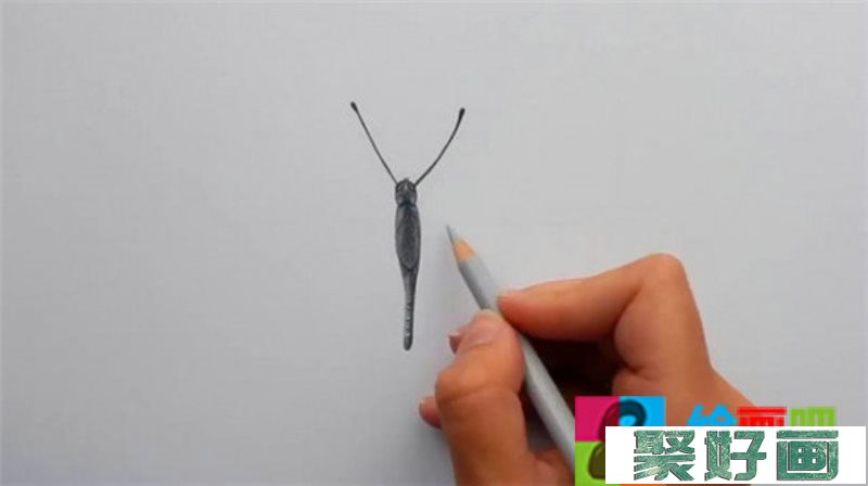 蝴蝶怎么画?简单的蝴蝶手绘彩铅画教程