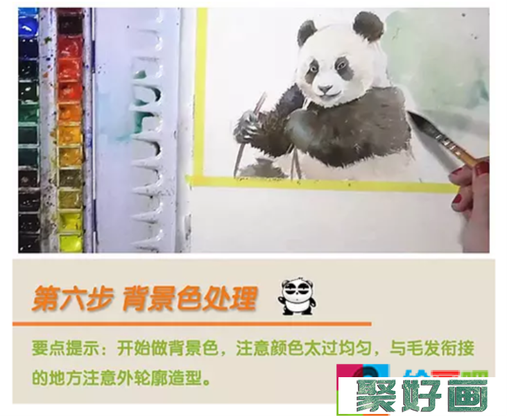 水彩画动物：大熊猫水彩画教程