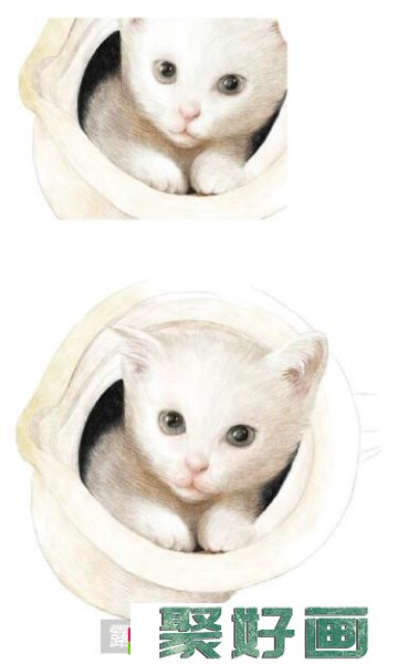 猫咪彩铅画