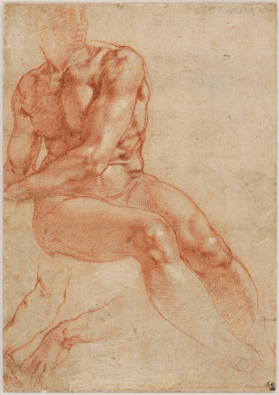 米开朗基罗素描作品:坐着的男人体