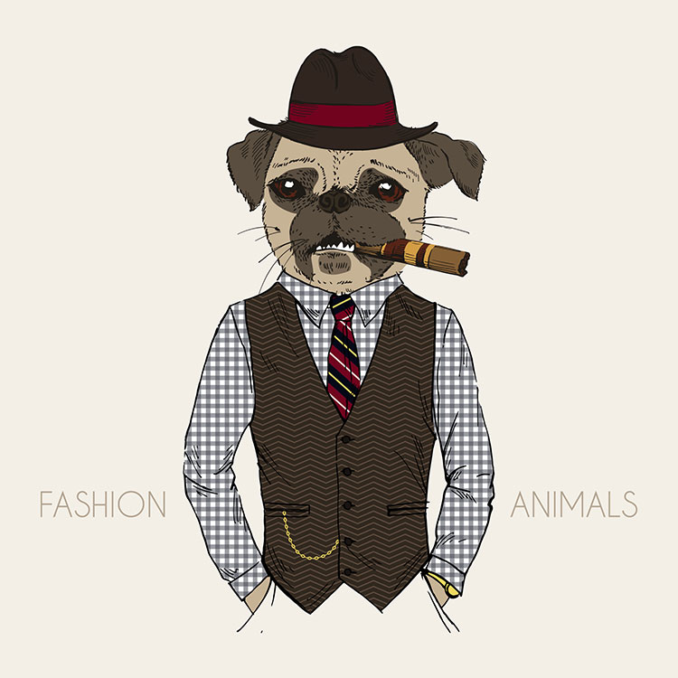 时尚呆萌动物 抽雪茄的狗先生 高清装饰画素材下载