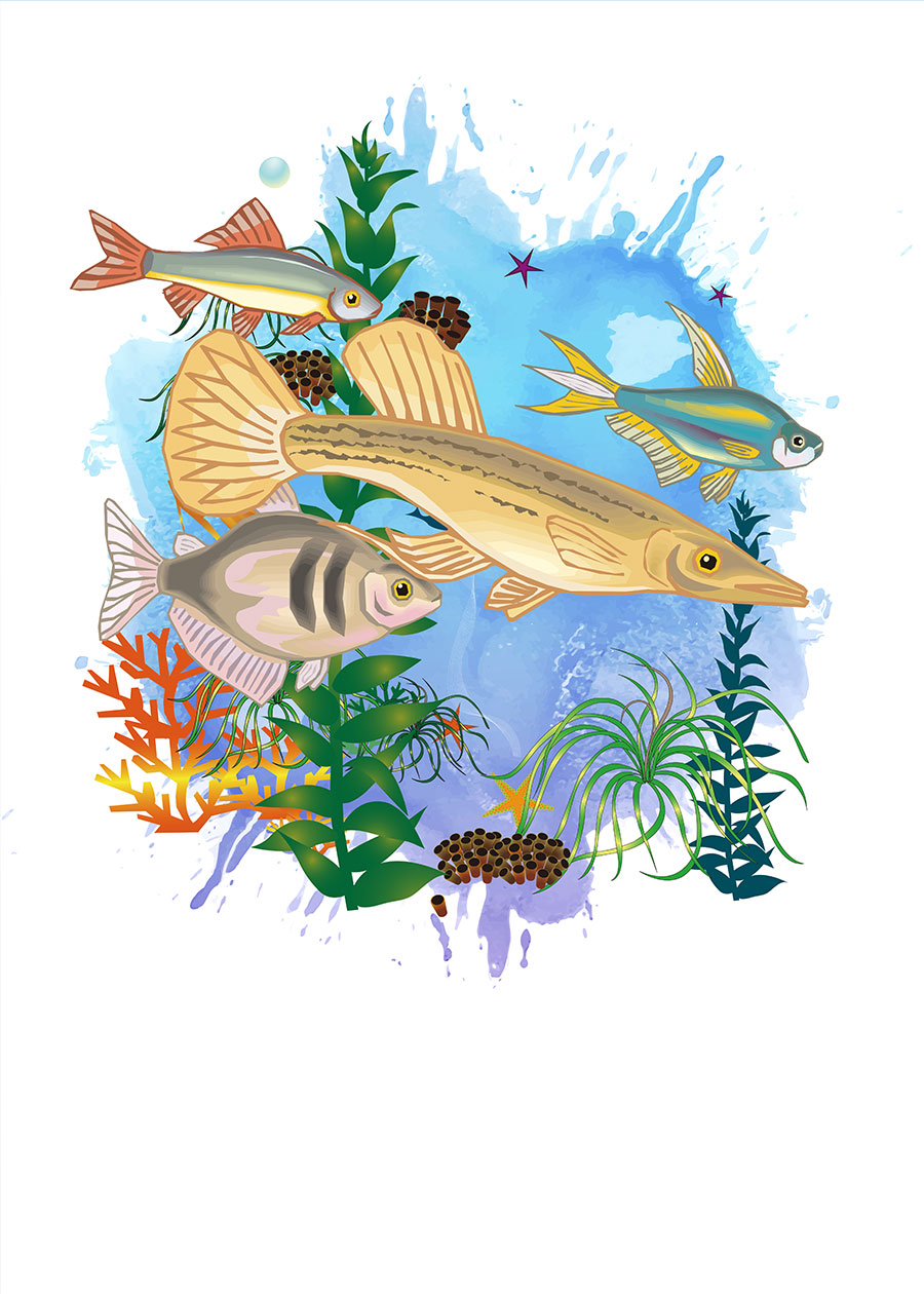 电脑绘制的装饰画: 热带鱼装饰画 B
