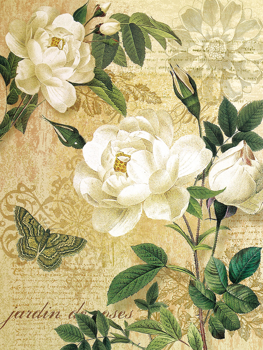 白玫瑰花与蝴蝶 高清花鸟画素材下载 B