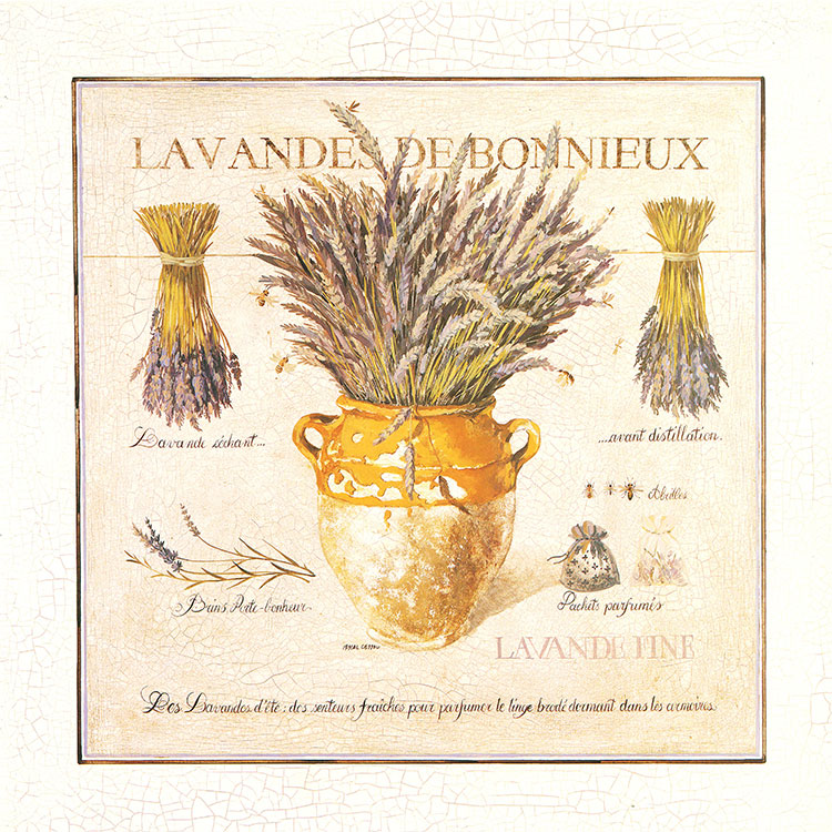 欧式复古装饰画:花盆里的植物　A
