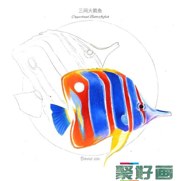 热带鱼彩铅画步骤图