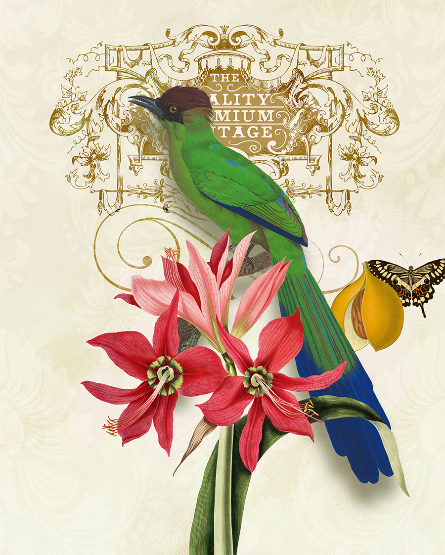 欧美田园花鸟装饰画: 花卉上的蝴蝶和小鸟 C