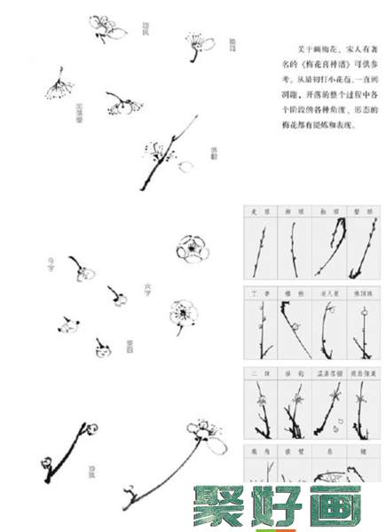 国画梅花枝干的画法