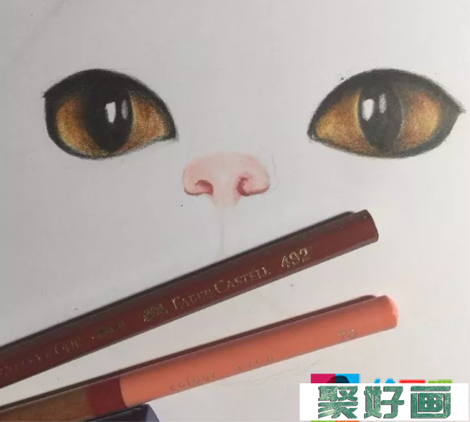 彩铅画猫的步骤图解