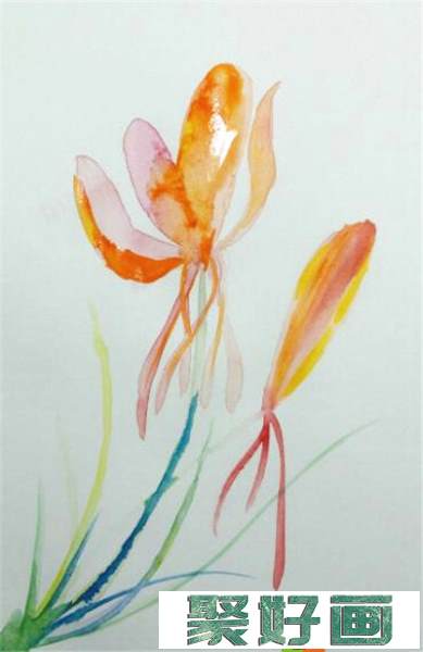 水彩画教程：简单的藏红花水彩画手绘教程