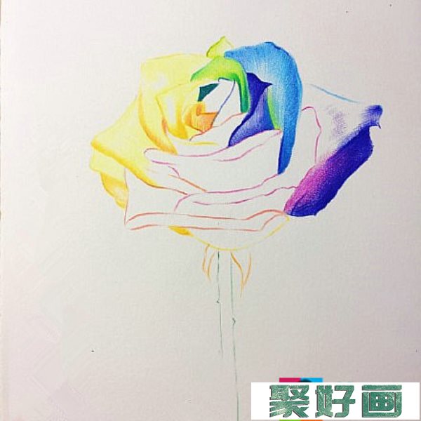 花怎么画?玫瑰花彩铅画教程