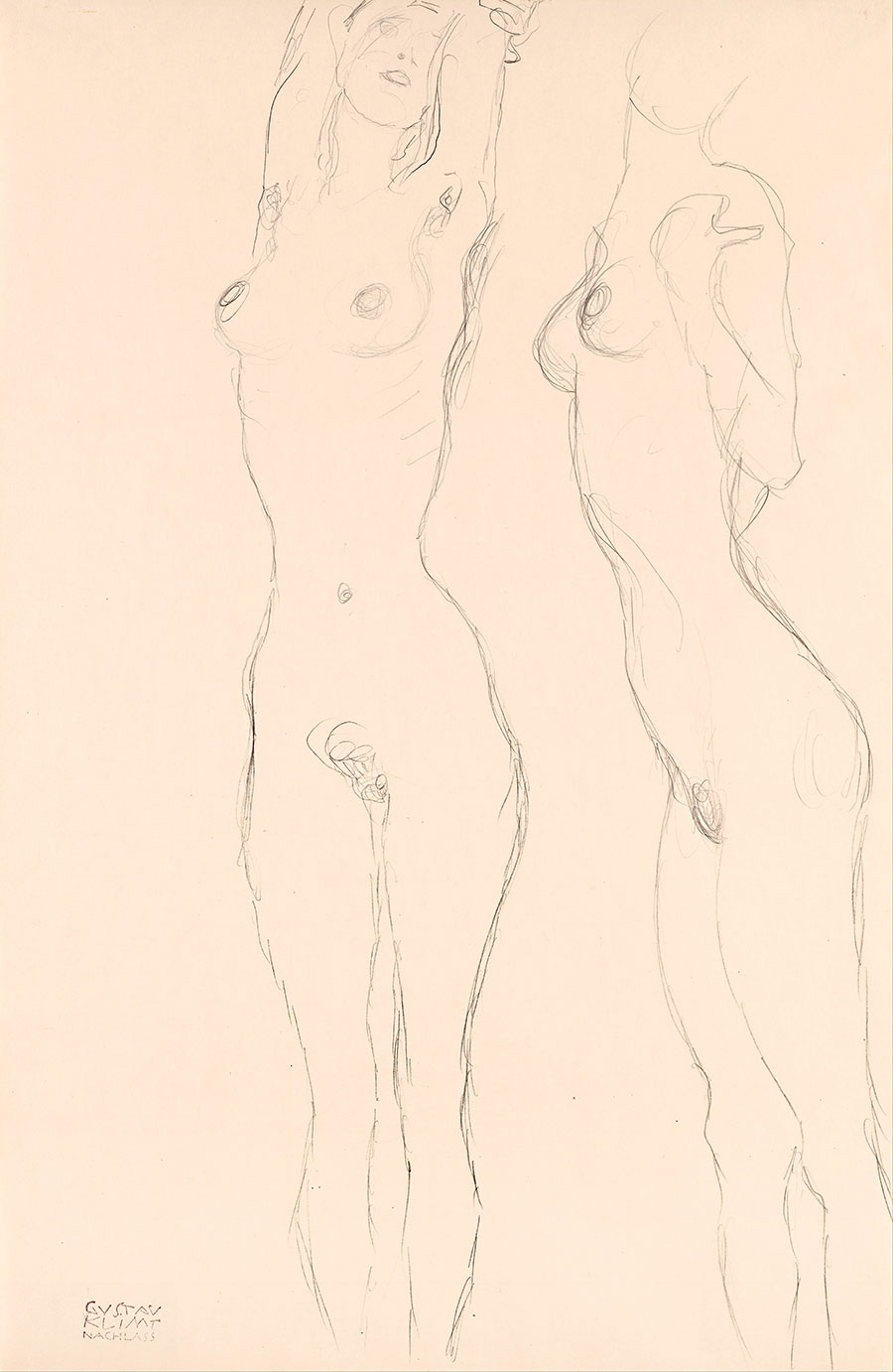 克里姆特素描: 裸女习作  侧身