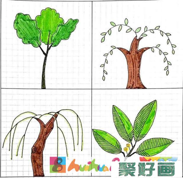 小清新绿植简笔画