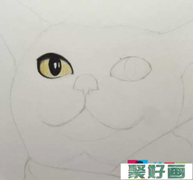 彩铅画猫的步骤图解