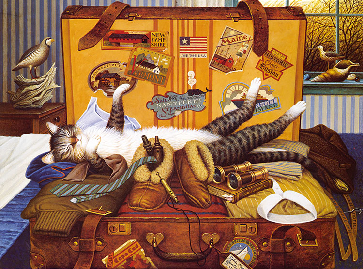 波西米亚猫系列:躺在旅行箱里的猫