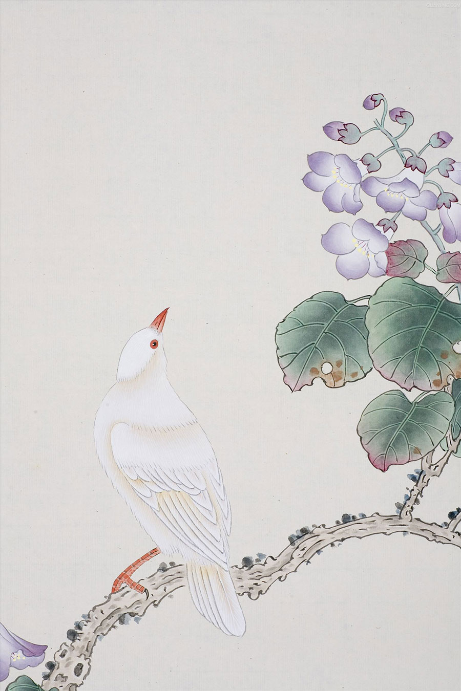 花枝头的白色小鸟